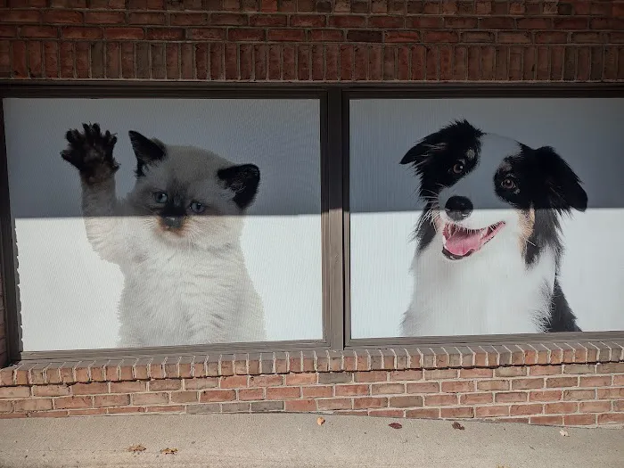 The Pet Care Clinic 6