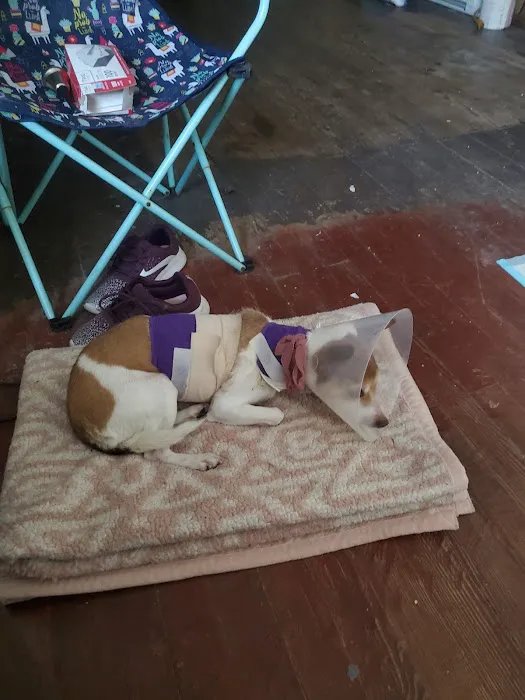 Northeast Animal Hospital 5