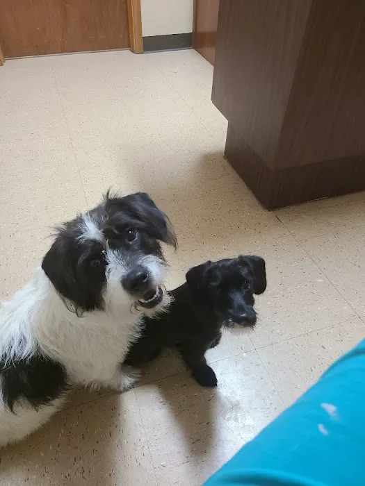Northeast Animal Hospital 7