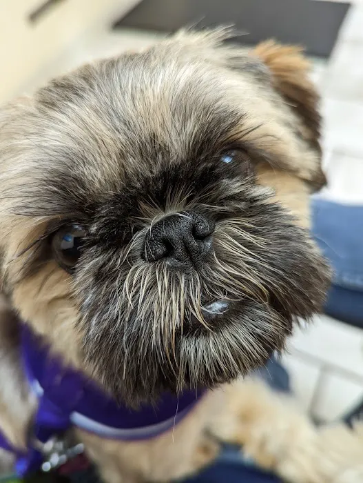 South Mountain Veterinary Hospital 10