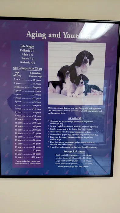 South Mountain Veterinary Hospital 7
