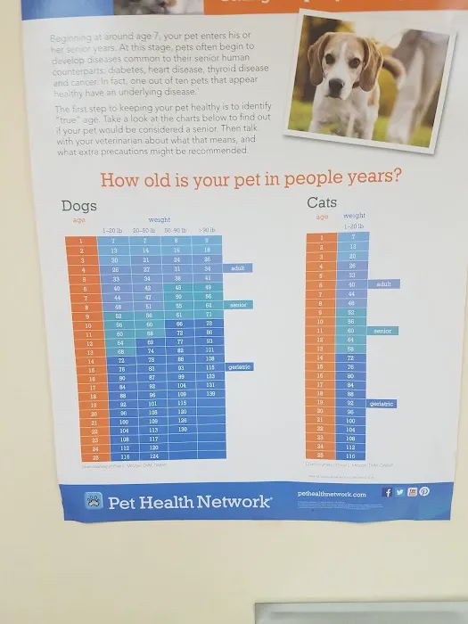 South Mountain Veterinary Hospital 4