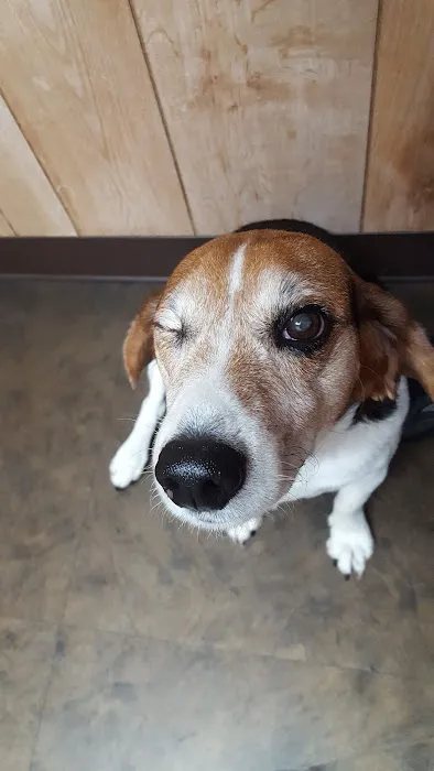 Mountaintop Animal Hospital 2