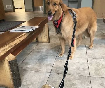 White Haven Veterinary Hospital
