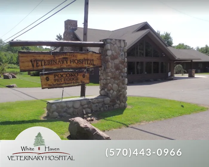 White Haven Veterinary Hospital 10