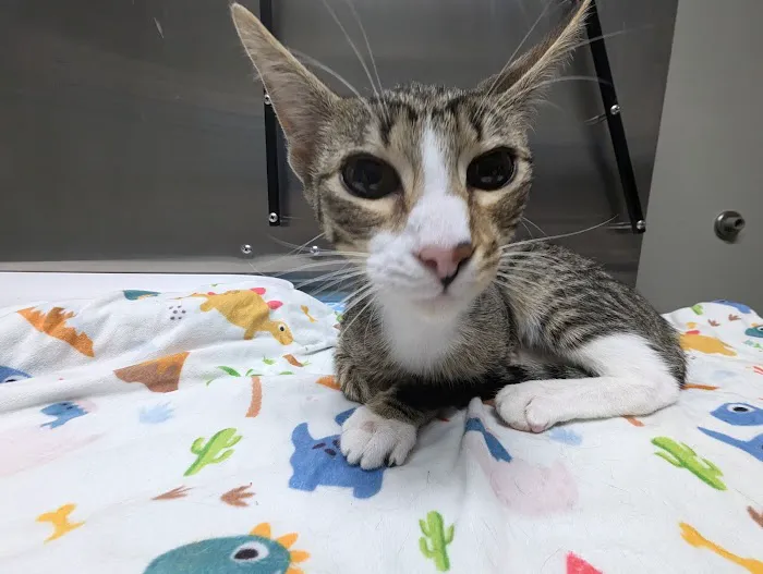 White Haven Veterinary Hospital 6