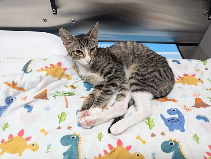 White Haven Veterinary Hospital 3