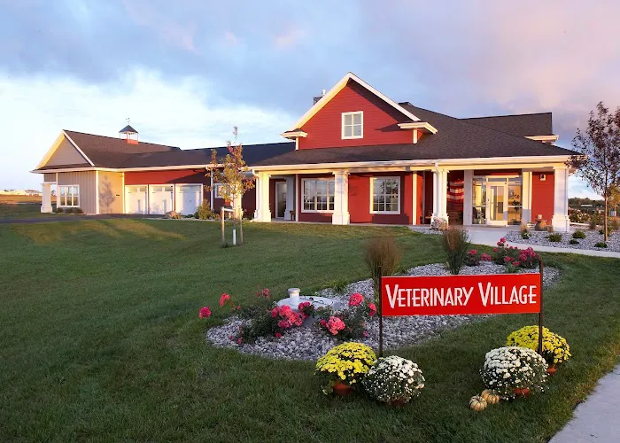 Veterinary Village ICSB WI/IL Brownsville Lomira Small Animal Clinic 8
