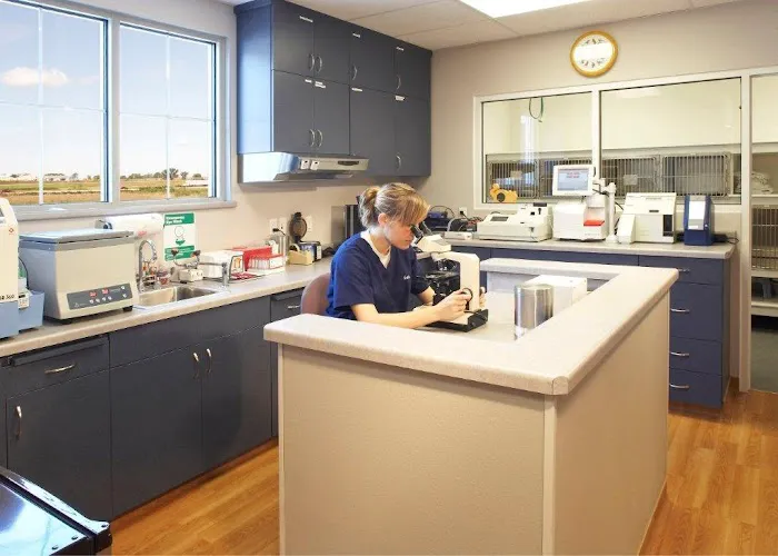 Veterinary Village ICSB WI/IL Brownsville Lomira Small Animal Clinic 3