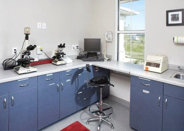 Veterinary Village ICSB WI/IL Brownsville Lomira Small Animal Clinic 9