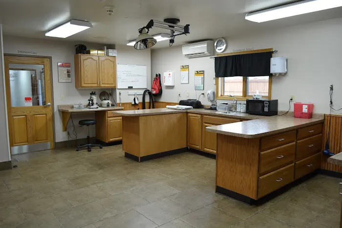 Country Hills Pet Hospital 1