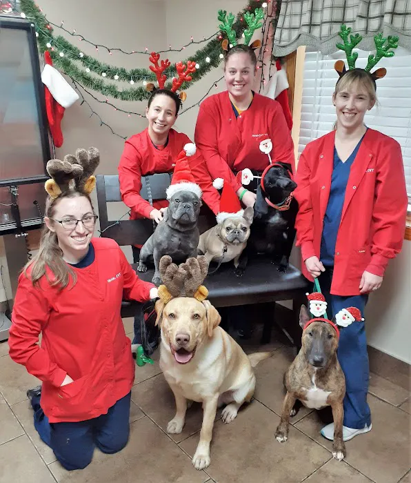 Country Hills Pet Hospital 4