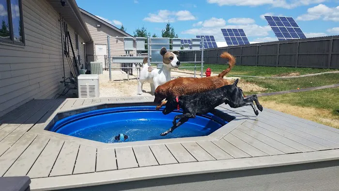 Country Hills Pet Hospital 8