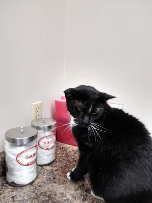 Animal Wellness Center Fond du Lac 6