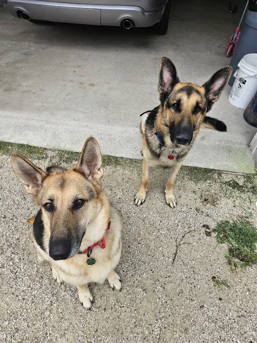 Companion Animal Care 8