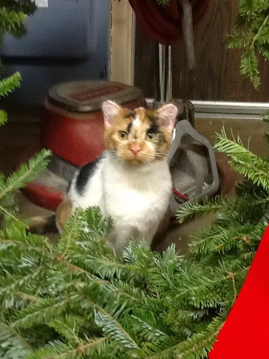 Cedar Grove Veterinary Services 10