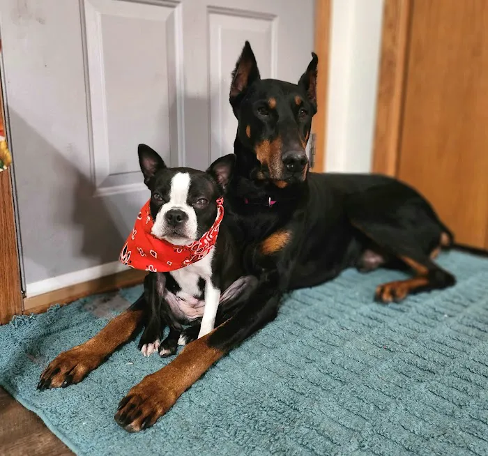 Cedar Grove Veterinary Services 7