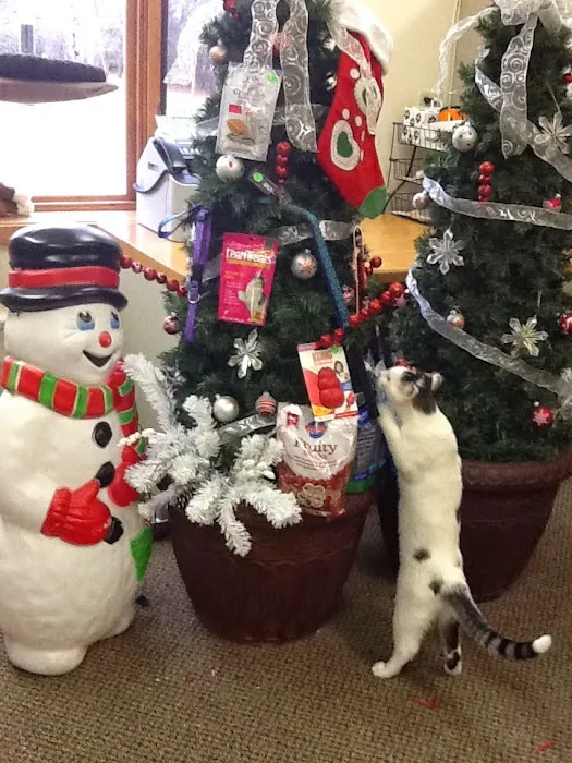 Cedar Grove Veterinary Services 6