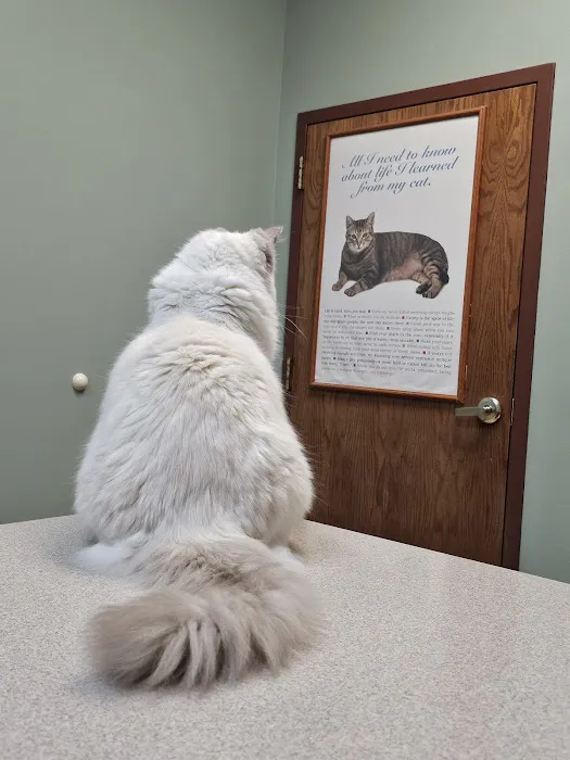 Associated Veterinary Clinic 1