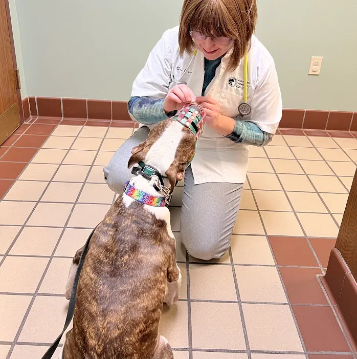 Associated Veterinary Clinic 6