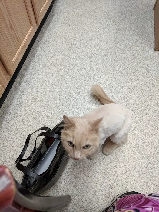 The Ripon Veterinary Clinic 1