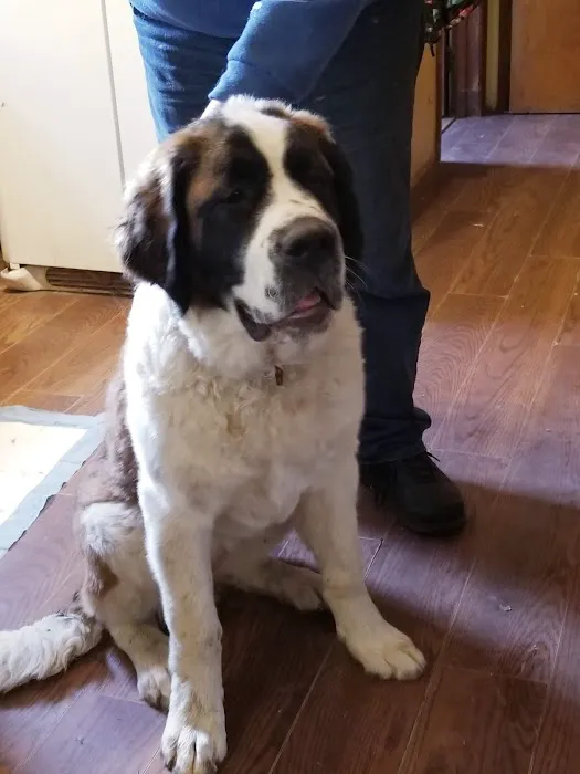 Hickory Lane Animal Hospital 4