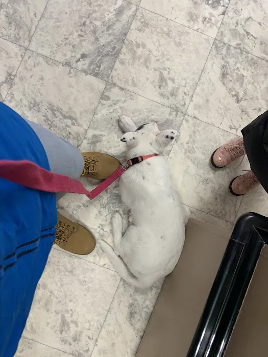 Hickory Lane Animal Hospital 7
