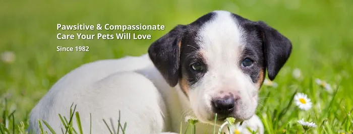 Green River Veterinary Services LLC 1