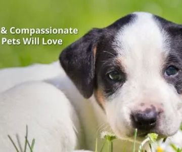 Green River Veterinary Services LLC