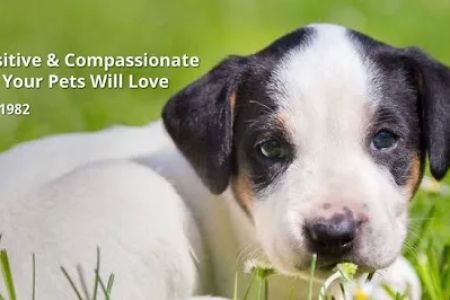 Green River Veterinary Services LLC