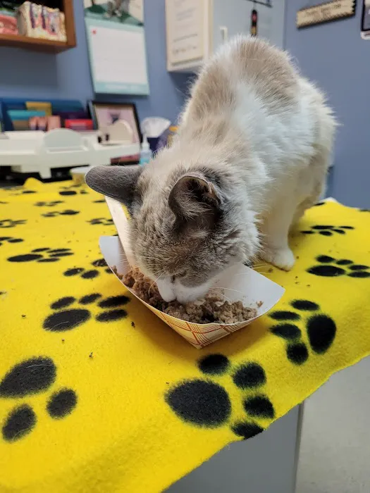 Advanced Animal Health Center 5