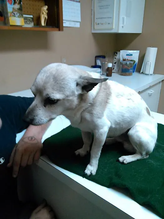 Advanced Animal Health Center 7