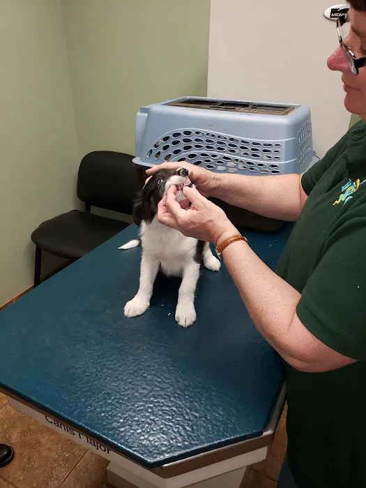 Northern Illinois Veterinary Services 7
