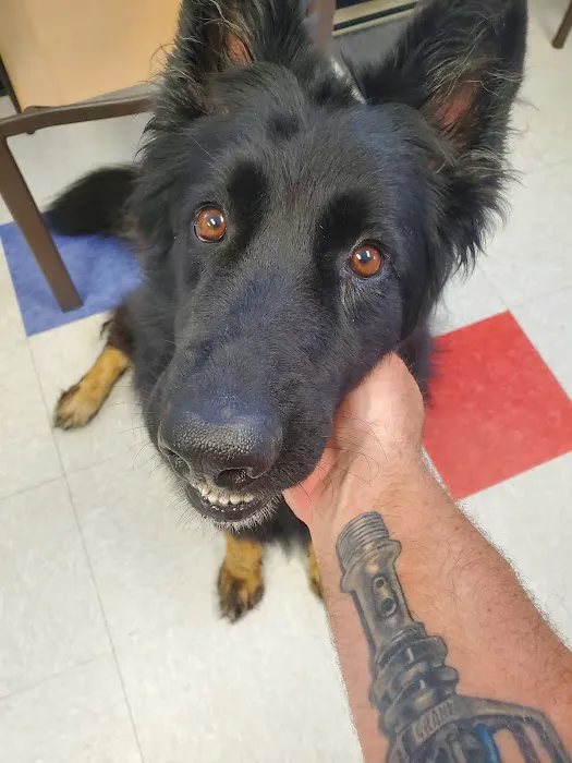 Morrison Veterinary Clinic 4