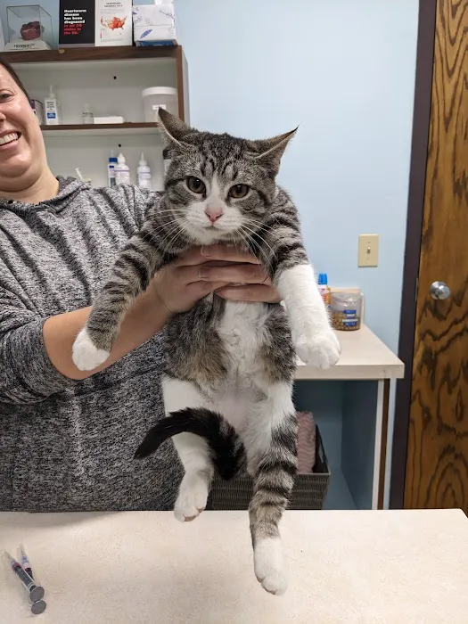 Tender Loving Care Animal Hospital 2