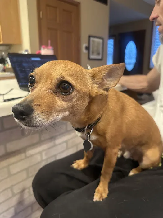 Freeport Animal Hospital 7