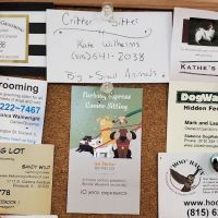New Hope Veterinary Clinic ico