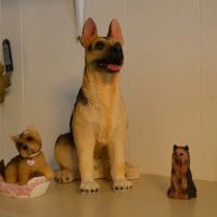 Mt Carroll Veterinary Clinic ico