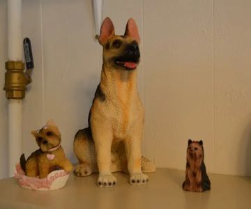 Mt Carroll Veterinary Clinic