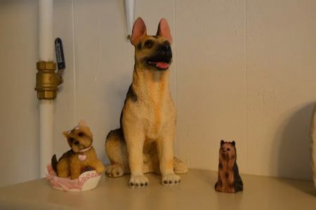 Mt Carroll Veterinary Clinic
