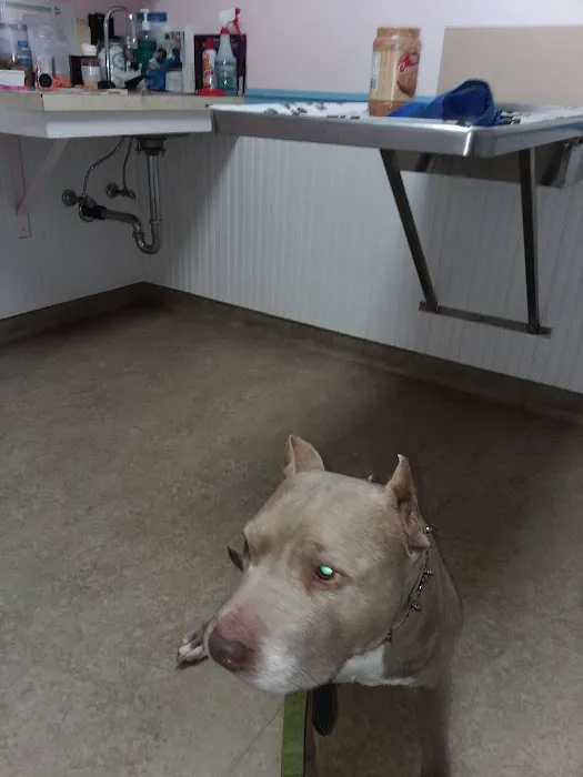 North Fork Veterinary Hospital 6