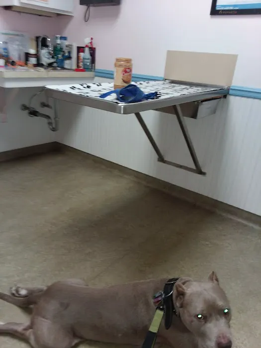 North Fork Veterinary Hospital 4