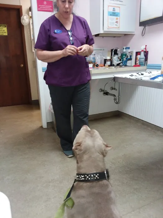 North Fork Veterinary Hospital 3