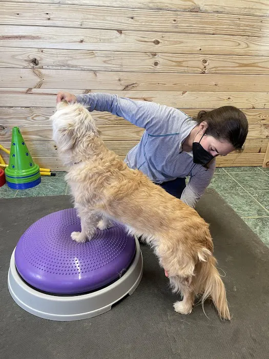 Veterinary Rehabilitation Services of Virginia 1