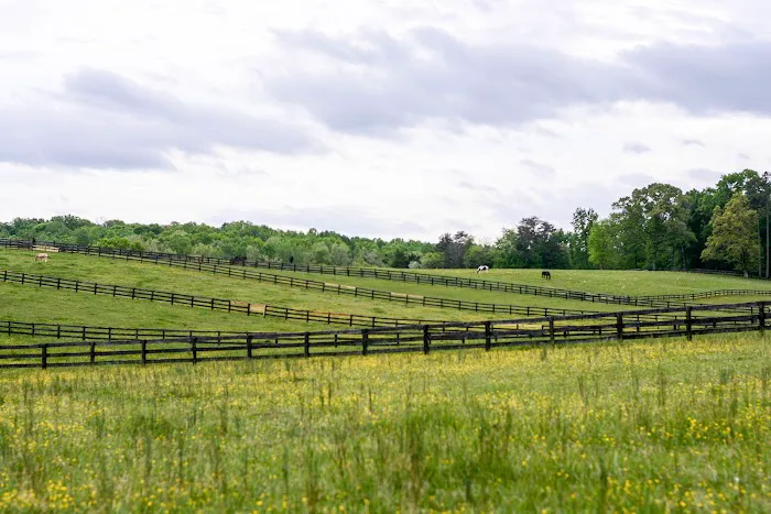 Veterinary Rehabilitation Services of Virginia 2