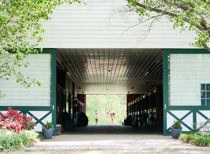 Veterinary Rehabilitation Services of Virginia 5