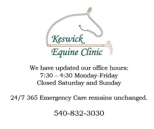 Keswick Equine Clinic 5