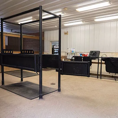 Keswick Equine Clinic 10