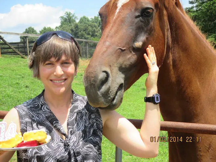 Keswick Equine Clinic 7