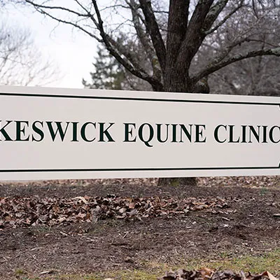 Keswick Equine Clinic 9